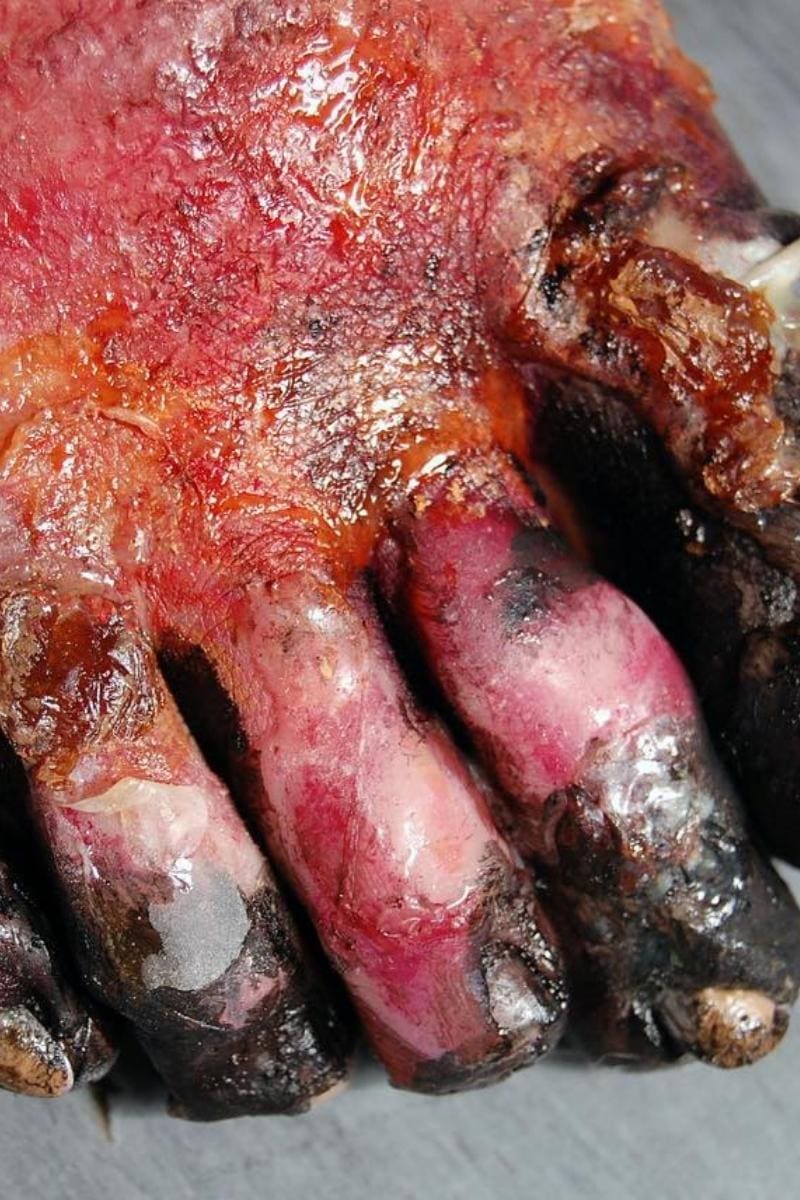 Boxing Cuts SFX Makeup7 Burnt Toes SFX Makeup